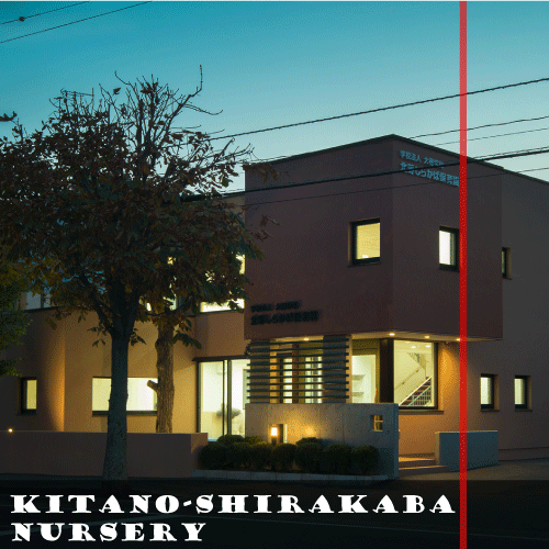 Kitano-shirakaba-Nursery