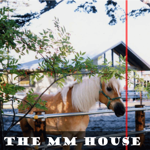 The MM House